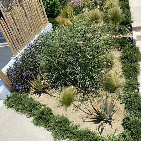 Daire The View Of Mykonos *