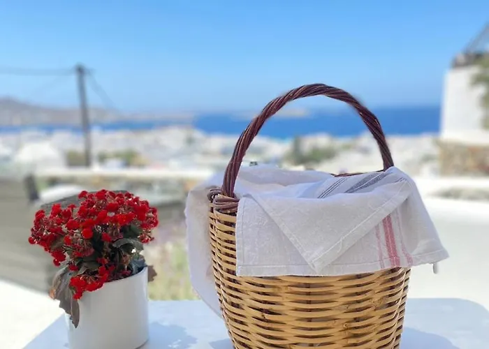 The View Of Mykonos Daire Mykonos Town