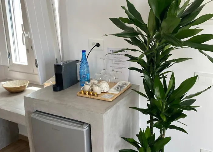 The View Of Mykonos Daire