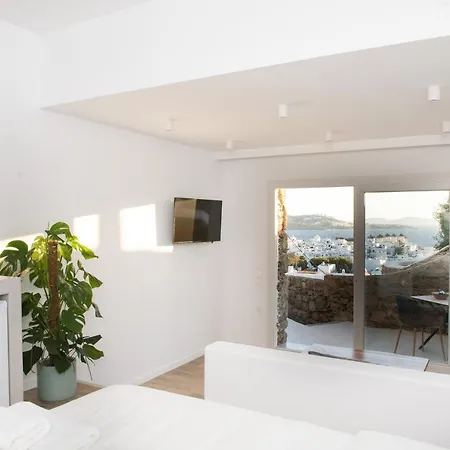 The View Of Mykonos Lejlighed